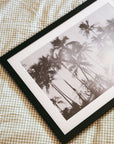 Hawaiian Palms Framed Photo