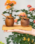 Teak Wood Small Salt Spice Jar Set with Tray and Spoons