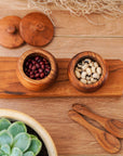 Teak Wood Small Salt Spice Jar Set with Tray and Spoons