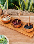 Teak Wood Condiment Dipping Bowl Set with Tray