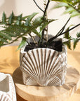 Cement Shell Planter