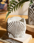 Cement Shell Planter