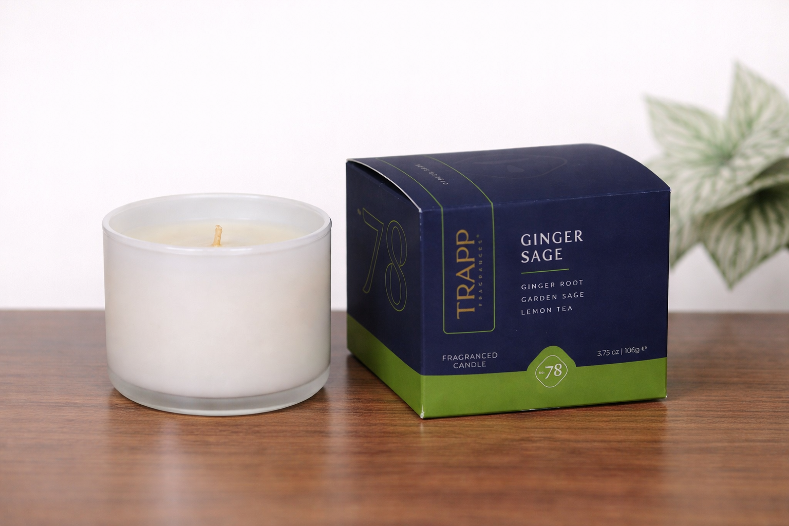 Ginger Sage Candle (3.75 oz.)